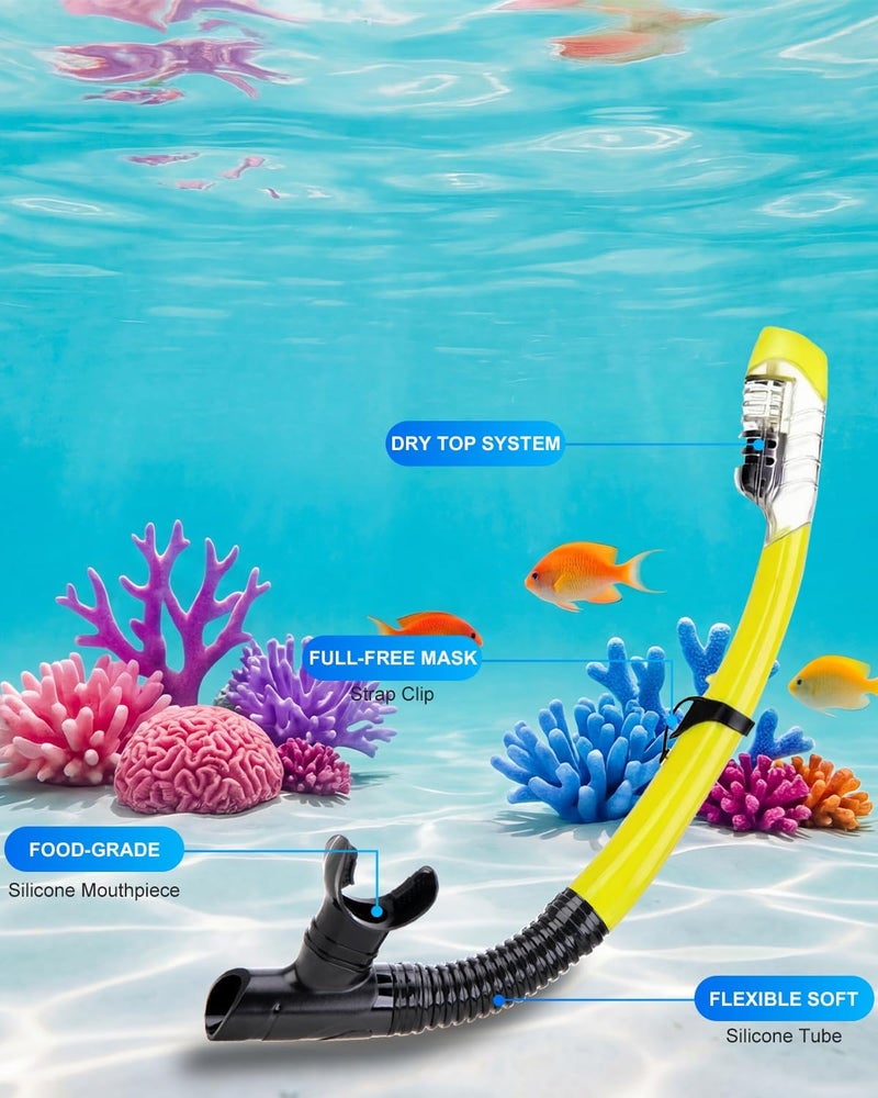 DIPUKI Snorkeling Gear for Adults, Dry Snorkel Mask Set, Scuba Diving Snorkle mask Set Adult, Panoramic Wide View Anti-Fog Dive mask, Swimming Diving Snorkeling Packages - Image 5